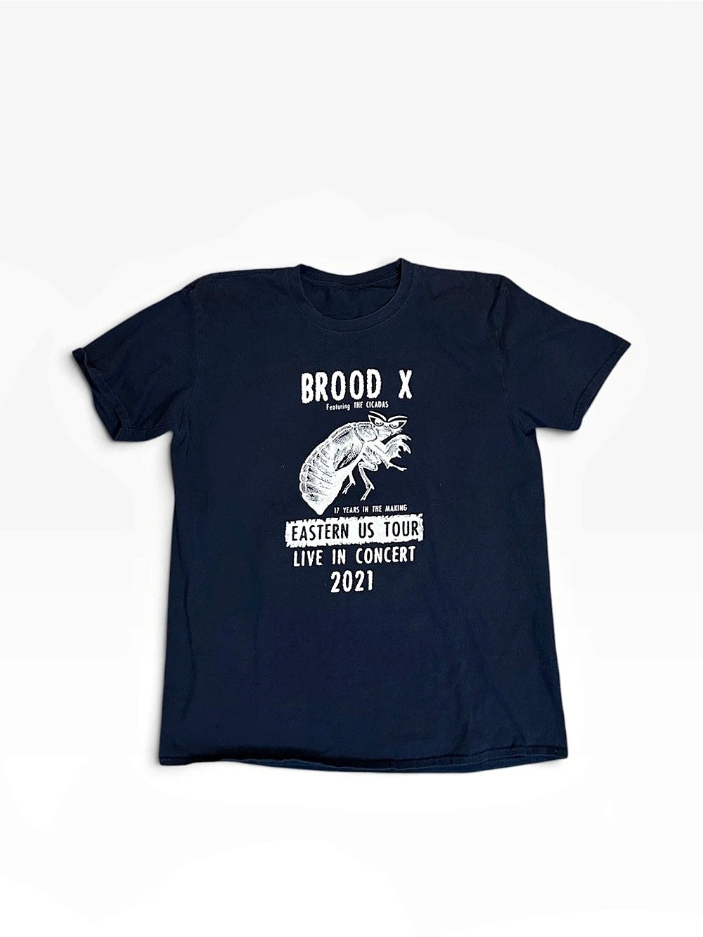 Brood X Eastern US Tour 2021 Graphic Short Sleeve Tee in Blue Like New
